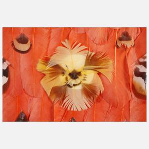 Edgard Pillet, Federbild ”Astrolabe”