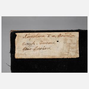 Elfenbeinreliefs Napoleon und seine Brüder