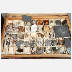Mineralien- und Gesteinssammlung