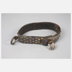 Historisches Hundehalsband