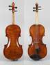 Violine