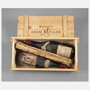 Zwei Flaschen Rotwein