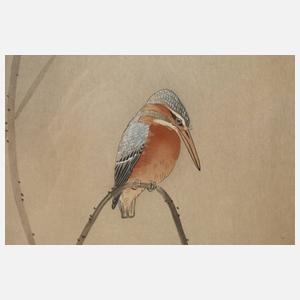 Kolorierte Tuschezeichnung