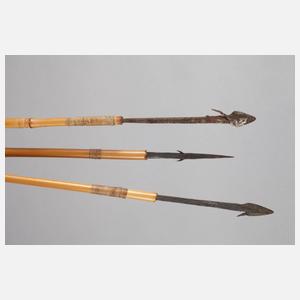 Jagdbogen mit Pfeilen