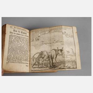 Berckenmeyers Curioser Antiquarius 1731