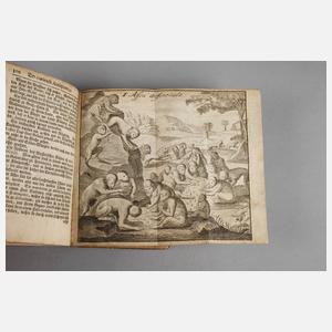 Berckenmeyers Curioser Antiquarius 1731