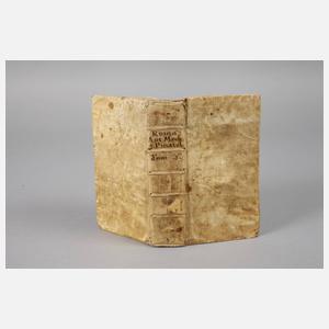 Giacomo Pinarolos Romführer 1713