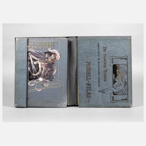 Die Moderne Elektrizität