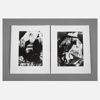 Zwei Schadographien111