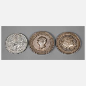 Drei Landwirtschaftsmedaillen