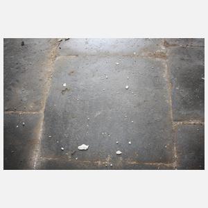 Konvolut Theumaer Fruchtschieferplatten