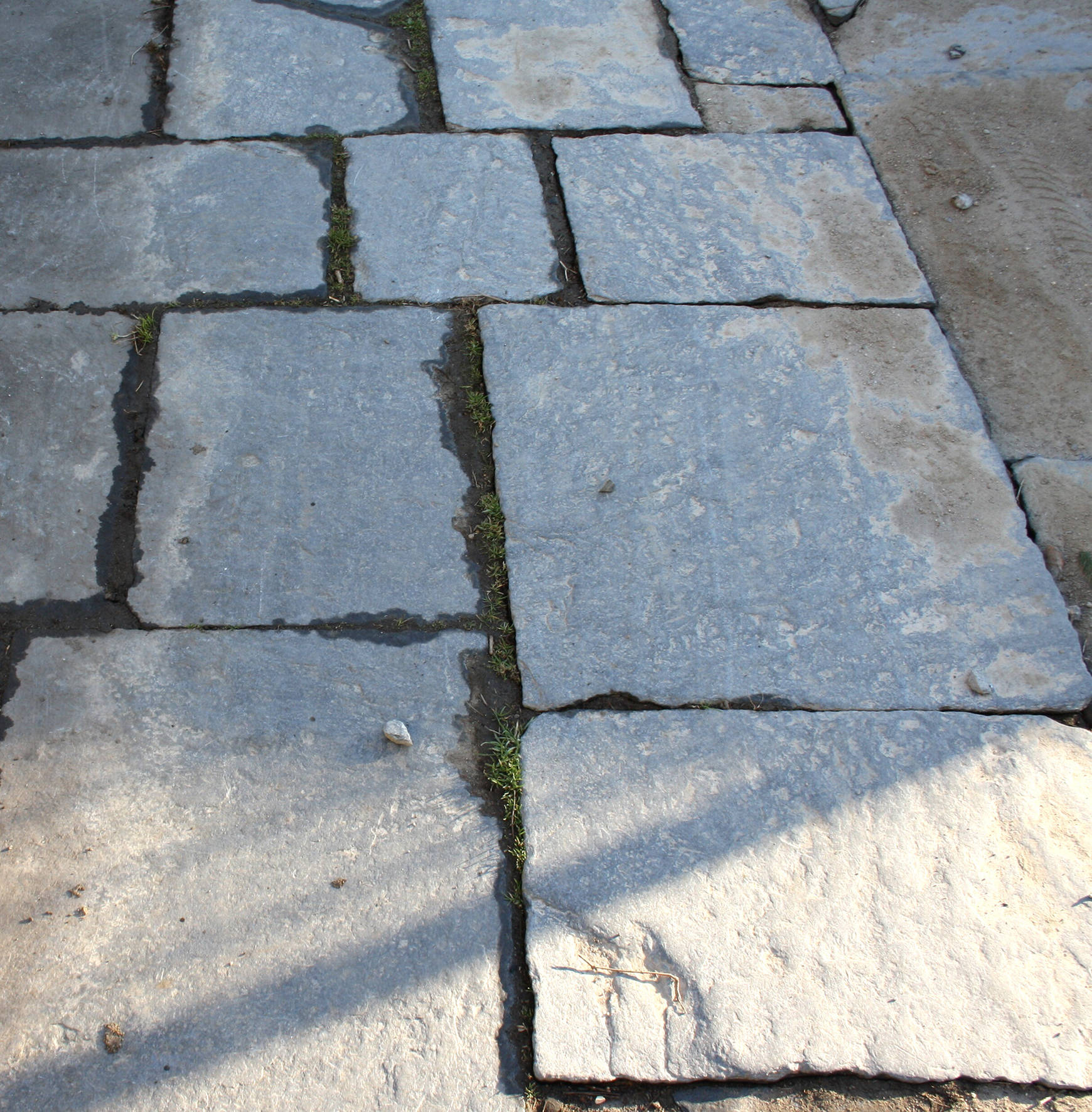 Konvolut Theumaer Fruchtschieferplatten