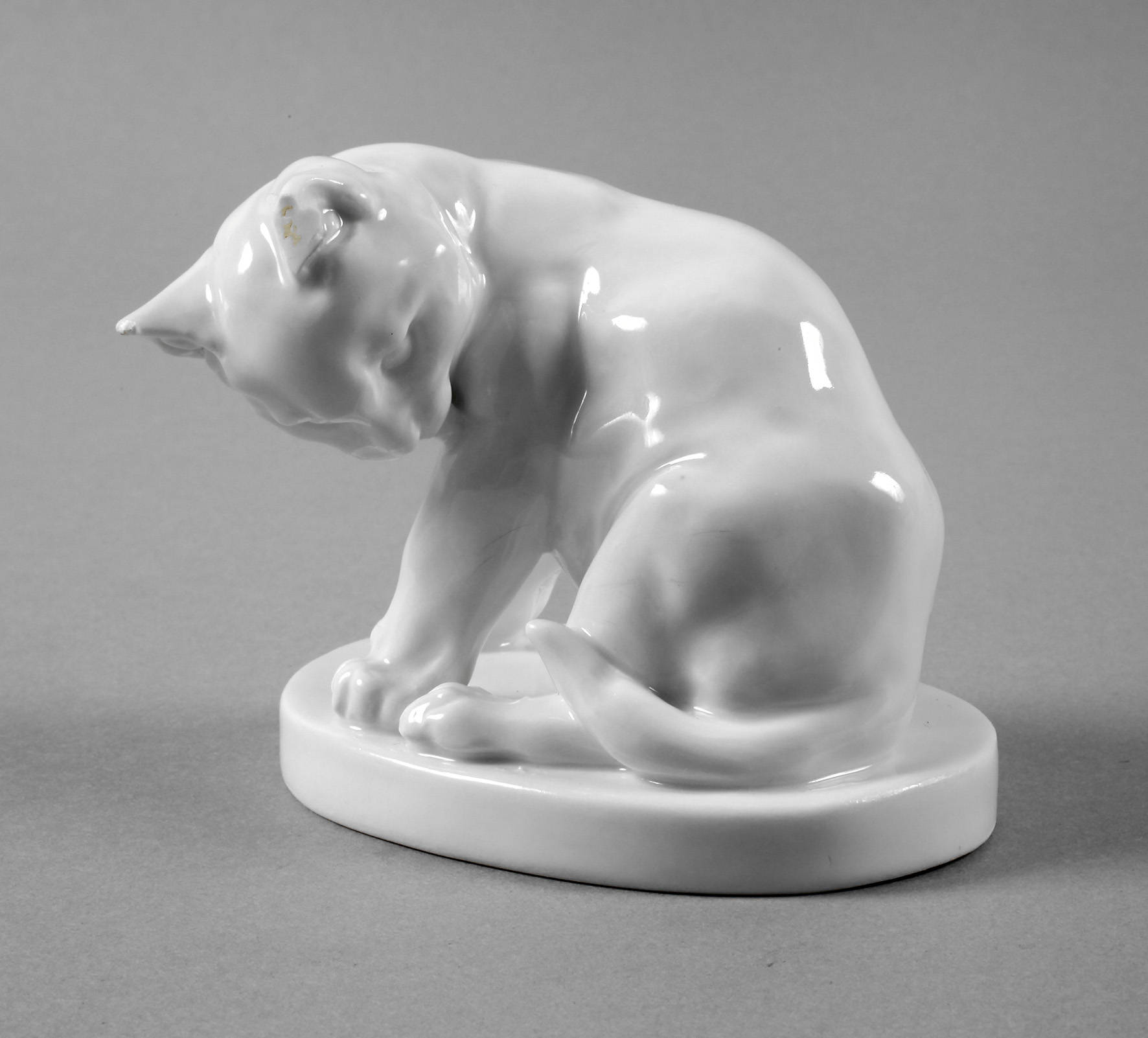 Meissen ”Junge Katze, sich putzend”
