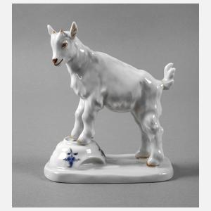 Meissen ”Ziegenbock auf Napf, klein”