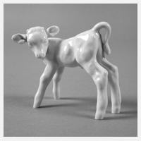 Meissen ”Kalb”111