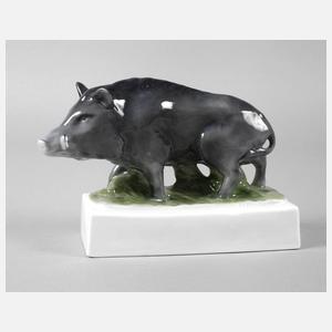 Fraureuth ”Wildschwein”