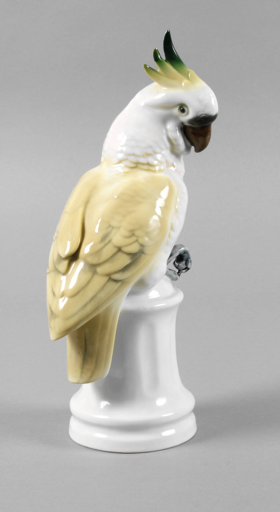 Gerold & Co. Tettau ”Kakadu”