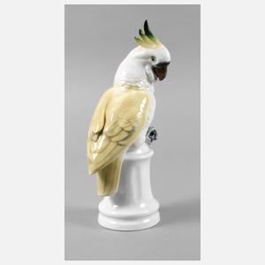 Gerold & Co. Tettau ”Kakadu”