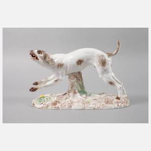 Höchst seltener Jagdhund