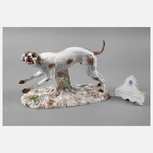 Höchst seltener Jagdhund