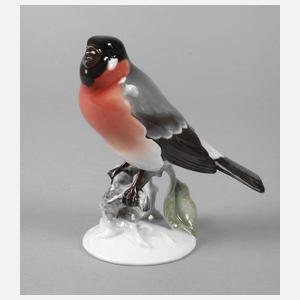 Rosenthal ”Gimpel”