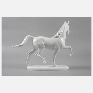 Rosenthal ”Trabender Hengst”