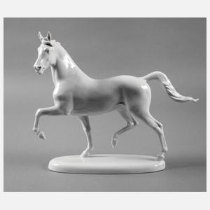 Rosenthal ”Trabender Hengst”