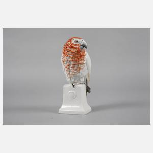 Rosenthal ”Papagei”