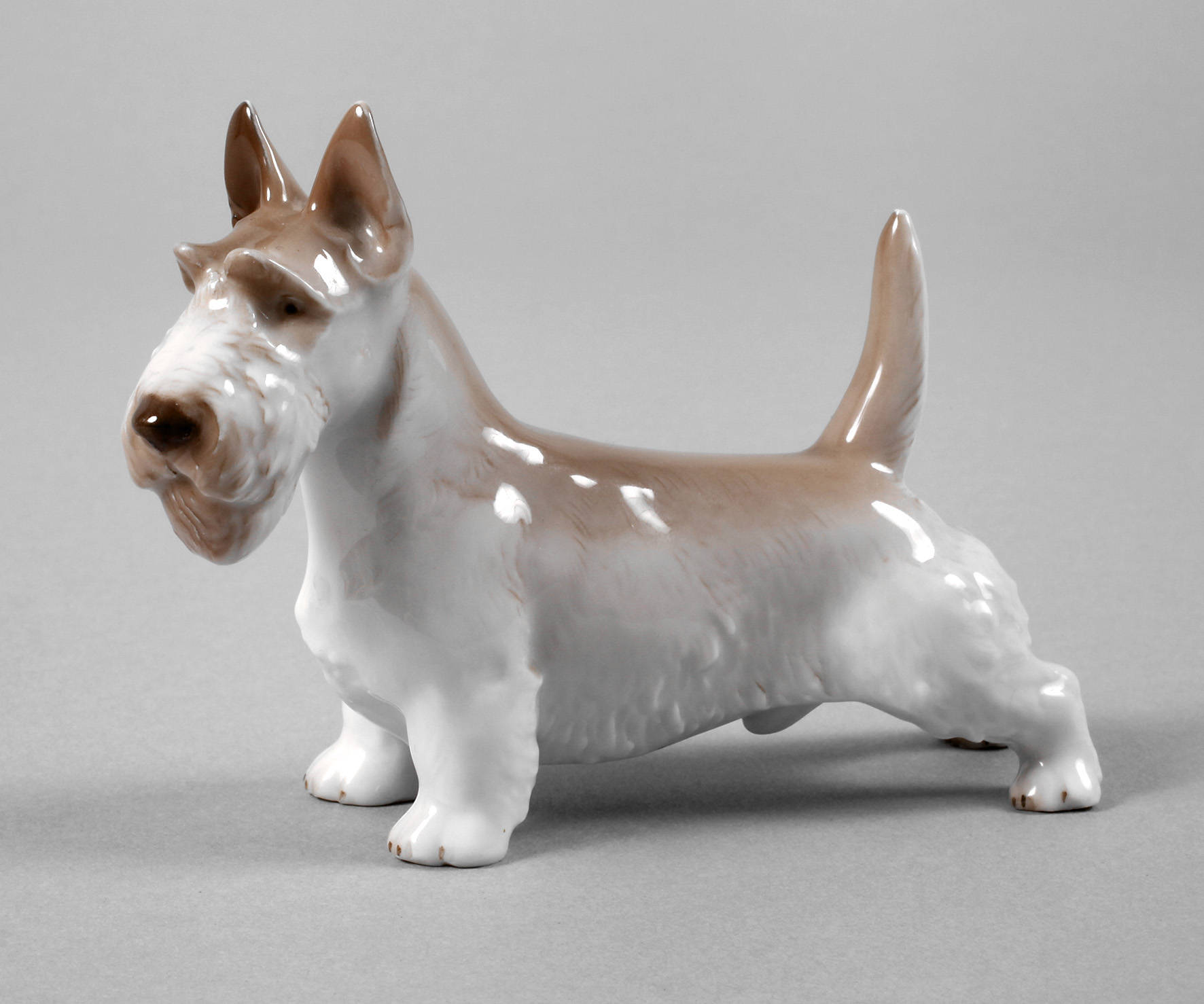 Rosenthal Scotchterrier