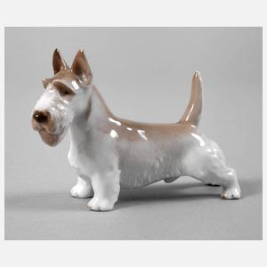Rosenthal Scotchterrier