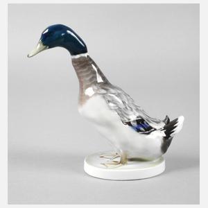 Rosenthal ”Erpel”