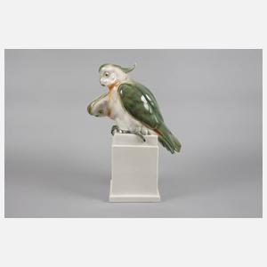 Schwarzburg ”Haubenpapageiengruppe”