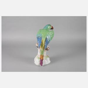 Carl Thieme Potschappel Papagei