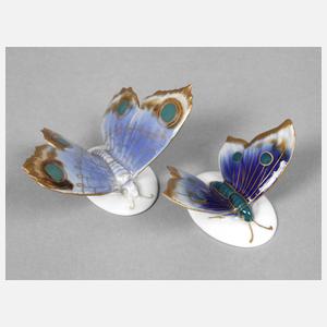 Karl Ens Volkstedt zwei Schmetterlinge