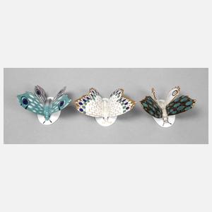 Karl Ens Volkstedt drei Schmetterlinge