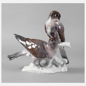 Karl Ens Volkstedt Wanderfalkenpaar