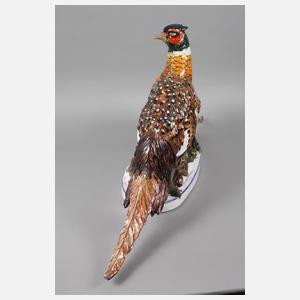 Übergroße Fasanengruppe Ezio Ceccarelli