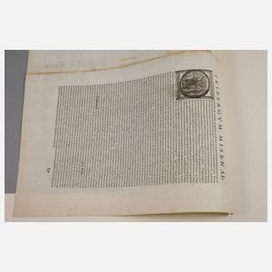 Frans Hogenberg, attr., Karte von Freiberg in Sachsen