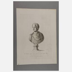 Sammlung mit Darstellungen von Portraitbüsten