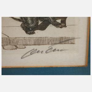 William Boyd, Na komm mein Süßer