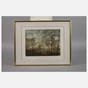 Fritz Mecking, Konvolut Farbradierungen