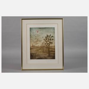 Fritz Mecking, Konvolut Farbradierungen