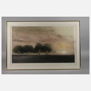 Kaiko Moti, Konvolut Farbaquatintaradierungen