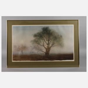 Kaiko Moti, Konvolut Farbaquatintaradierungen