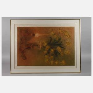 Kaiko Moti, Konvolut Farbaquatintaradierungen