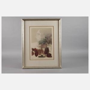 Gatja Helgard Rothe, ”Bougainvillea”