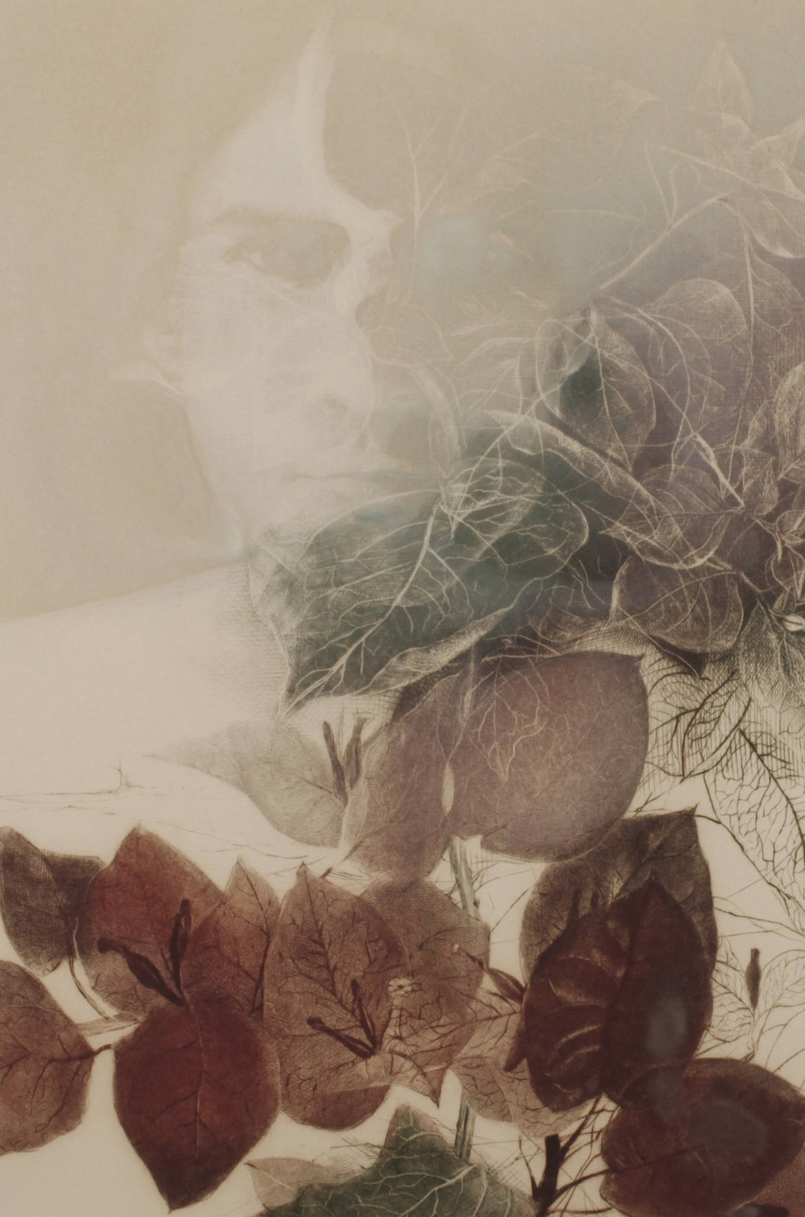 Gatja Helgard Rothe, ”Bougainvillea”