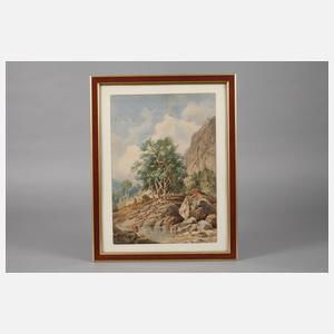 Heinrich von Reder, Partie in den Alpen