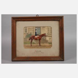 Paar Pferdeportraits