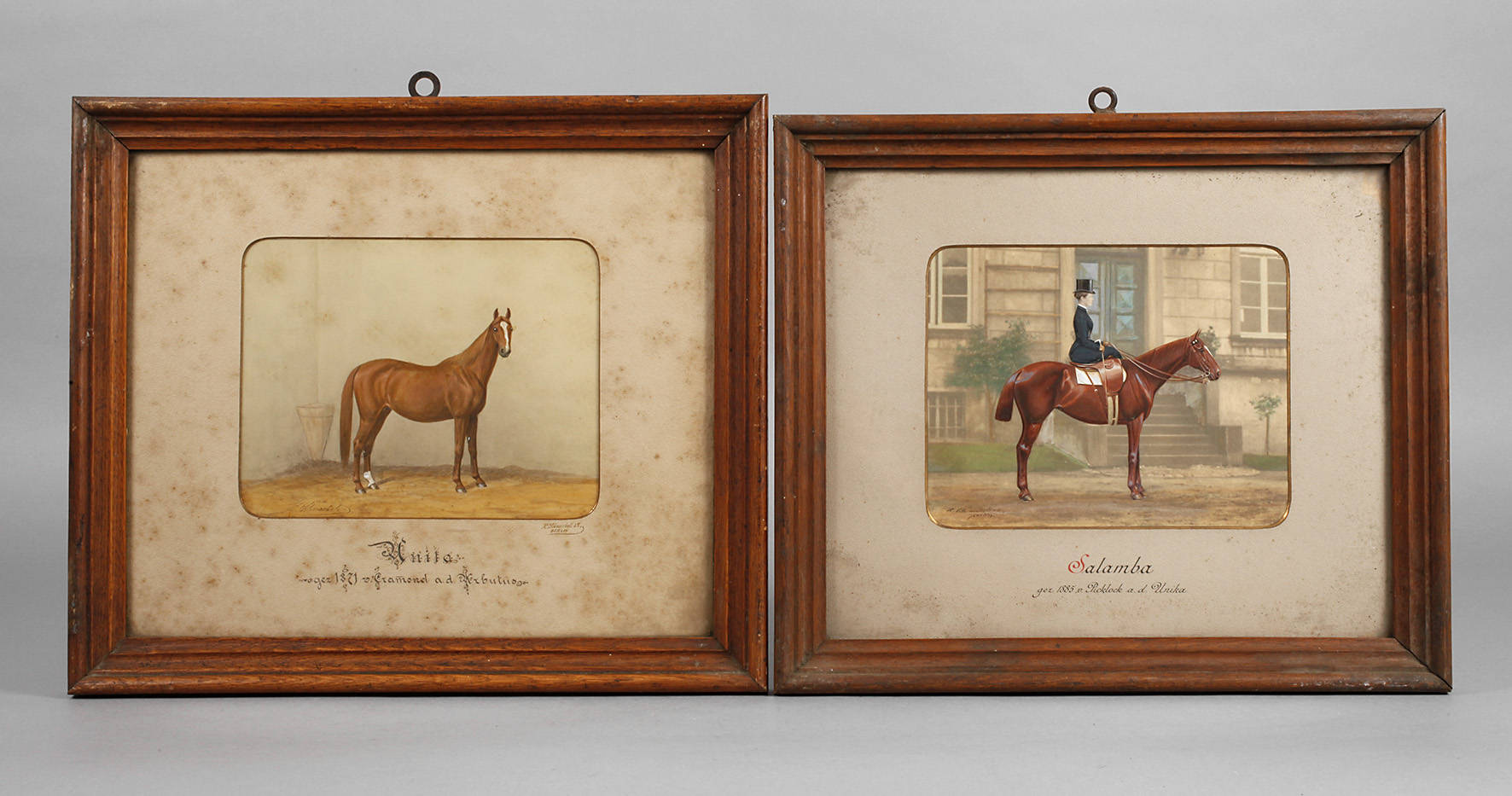 Paar Pferdeportraits